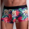 Boxer Aubade Men (Crazy Flower)
