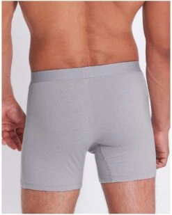 Boxers Longs Sloggi Men GO ABC (Lot De 2) (Platinum) -Sloggi Soldes Boutique boxers longs sloggi men go abc lot de 2 platinum 3