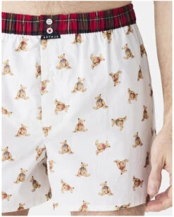 Caleçon Slip à Suspensoir 100% Coton Bio Arthur (Ivoire) -Sloggi Soldes Boutique calecon slip a suspensoir 100 coton bio arthur ivoire 2