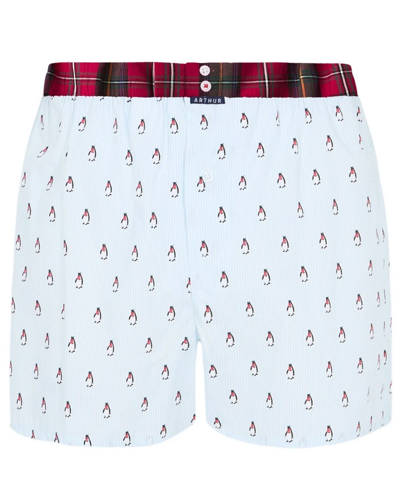 Caleçon Slip à Suspensoir 100% Coton Bio Arthur (Lagon) 2 Caleçon Slip à Suspensoir 100% Coton Bio Arthur (Lagon) – Image 2