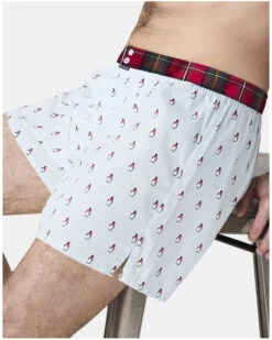 Caleçon Slip à Suspensoir 100% Coton Bio Arthur (Lagon) 8 Caleçon Slip à Suspensoir 100% Coton Bio Arthur (Lagon) -Sloggi Soldes Boutique calecon slip a suspensoir 100 coton bio arthur lagon 2