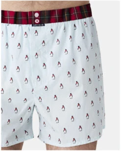 Caleçon Slip à Suspensoir 100% Coton Bio Arthur (Lagon) 9 Caleçon Slip à Suspensoir 100% Coton Bio Arthur (Lagon) -Sloggi Soldes Boutique calecon slip a suspensoir 100 coton bio arthur lagon 3