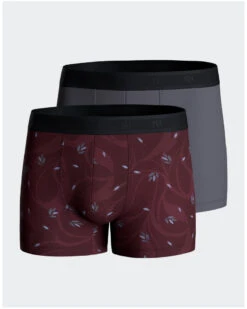 Lot De 2 Boxers Impetus N63 (BD019)