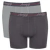 Lot De 2 Boxers Longs Sloggi For Men Start (Black Comb)