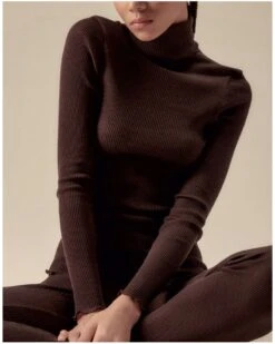 Pull Col Roulé Laine Et Soie Oscalito 3438 (Marron)