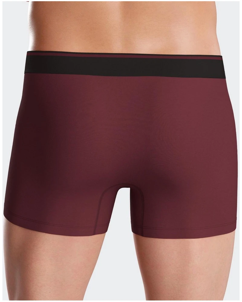 Shorty En Jersey Eden Park H77P2 BD021 (Lot De 2) 5 Shorty En Jersey Eden Park H77P2 BD021 (Lot De 2) – Image 5