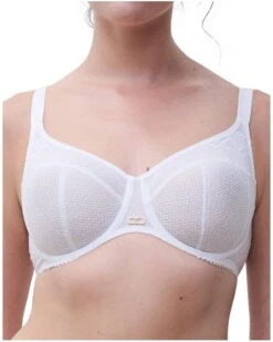 Soutien-gorge Emboitant Chantelle Origins (Blanc)