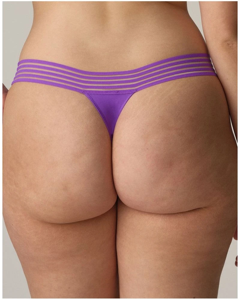 String Prima Donna Twist Verao (Italian Acai) 4 String Prima Donna Twist Verao (Italian Acai) â Image 4