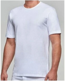 T-shirt Col Rond 100% Coton Impetus Pure Cotton (Blanc)