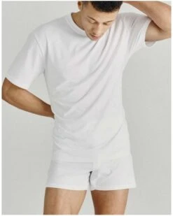 T-shirt Col Rond Manches Courtes 100% Coton Impetus Pure Cotton (Blanc) -Sloggi Soldes Boutique t shirt col rond manches courtes 100 coton impetus pure cotton blanc 2