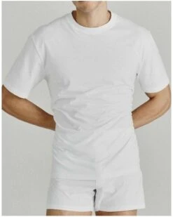 T-shirt Col Rond Manches Courtes 100% Coton Impetus Pure Cotton (Blanc)